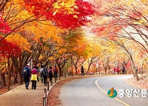 10월 둘째주 뉴스 챙겨보기