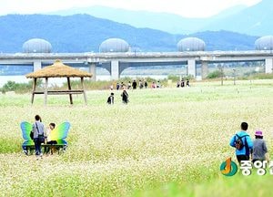 여주 당남리섬, 지역 명소로 부상