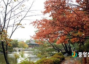 ‘바사삭, 바사삭’ 낙엽 밟으며 만추의 정취 느껴보세요