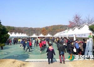 제3회 이천인삼축제, 3일간 15만6000명 다녀가