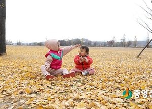 <포토>가을의 마지막 풍경