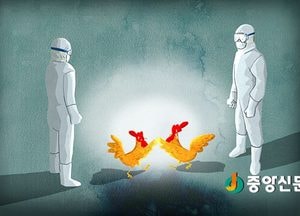 AI ‘심각’ 격상…‘휴지기제 확대 검토’
