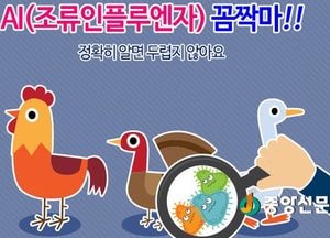 조류인플루엔자(AI) 인체감염 예방수칙 준수