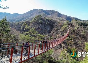 경기도 가볼만한 겨울 트레킹 명소 5선