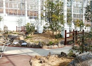 황학산수목원 2018년 난대식물원 개원 준비