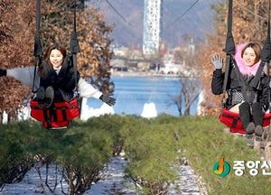 자라섬~남이섬 잇는 짚와이어 이용객 40만 돌파