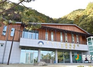 양평군, 산림교육프로그램 참가자 모집