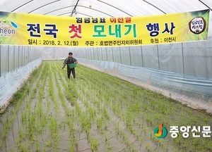 친환경 재배 위한 우렁이 방사···농약 NO!