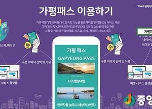 가평패스, 모바일 플렛폼으로 진화