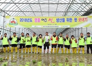 꽃샘추위 속, 여주 올해 첫 모내기