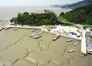 강화군 분오리 어촌 ‘저어새 생태마을’ 만든다