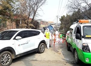 김포시, 구제역 살처분 시작…확산 방지 총력