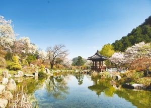 가평 아침고요수목원 봄나들이 축제 팡파르