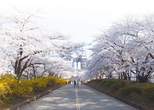 SK인천석유화학 공장에 불어온 봄바람