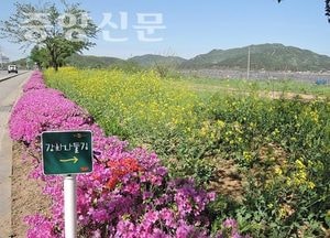 '봄바람 살랑살랑  꽃길 걸으며 봄 향기 만끽