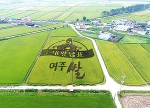 ‘여주쌀 사용 인증제’ 실시…홍보 박차