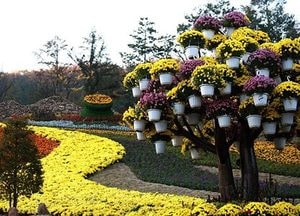 가정의 달 5월, ‘가볼만한 수목원’ 경기 북부에 다 모였네~ 추천 명소 5곳