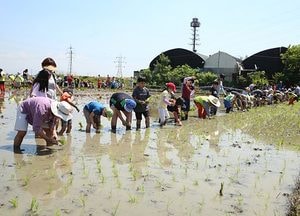 “아이들과 손모내기 체험해 보세요”
