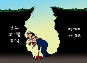 [김진호 만평]보수괴멸무덤...정계개편