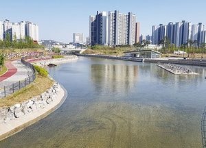 김포 금빛수로에 흐르는 맑은 팔당수 공급한다