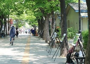 ‘덕양구청 거리 전시회’ 감상해요