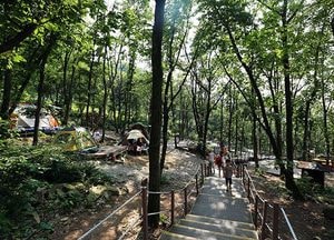 도심속 캠핑의 즐거움, 의왕 바라산 자연휴양림