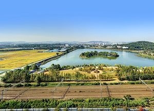 수원 서호 인공섬, ‘가마우지 천국’ 철새도래지 변신