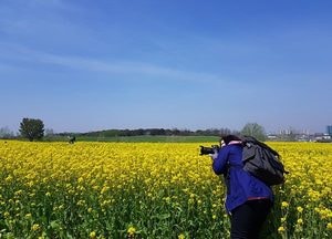 안성시, 테마별 ‘안성맞춤투어’ 진행