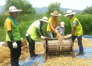 성남, ‘제3회 추억의 우리 밀 수확 체험’ 참여가족 모집