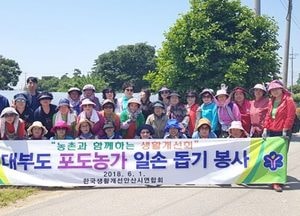 생활개선안산시연합회, 포도농가 일손 돕기 봉사