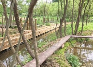 한여름 밤의 판타지, 반딧불이 도심공원 밝힌다