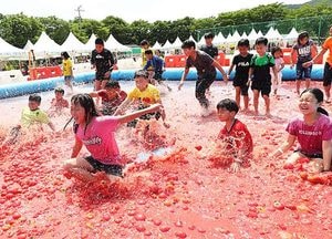 여기가 토마토 천국