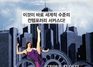 "이것이 세계적 수준의 서커스다"