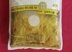 웰빙식품 ‘강화섬 찰쌀보리’ 출하 개시