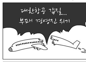 [팔달문지기]대한항공 갑질...