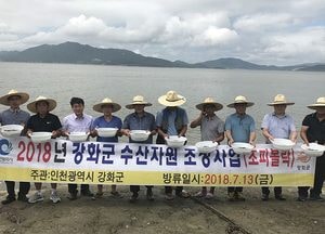 강화군, 선수어장에 조피볼락 치어 38만 마리 방류