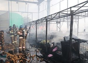 인천 삼산농산물도매시장 화재…전기적 요인 추정