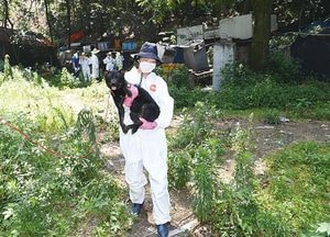 불법 개 사육장 적극행정으로 조기해결