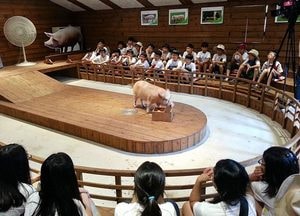 여름휴가철 농촌교육농장에서 추억 만드세요