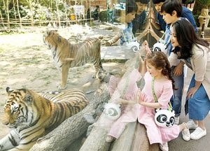멸종위기 동물 보러가자