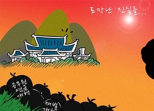 [김진호 만평]토막난 진실들...