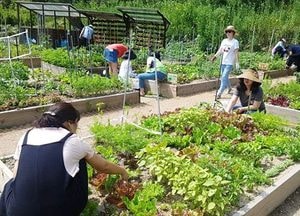 “텃밭에서 소확행 만들어요”