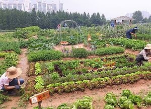 ‘당수동시민농장’ 시민 쉼터로 자리매김