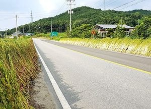 참깨를 말려볼까?