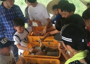 오산시,  ‘오산 독산성 발굴현장 견학’프로그램 인기
