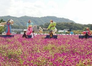 “벌써 가을?” 보라색으로 물든 꽃밭 보러가자
