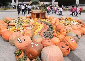 호박 보며 가을을 느껴요