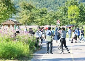 남한강 당남리섬, 여주 명소로 떠올라