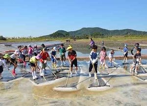 중구, 영종역사관 꿈다락 토요문화학교 염전체험 진행