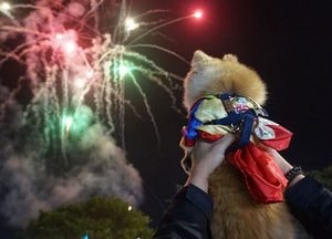안성 바우덕이 축제…한반도 평화를 기원하는 불꽃